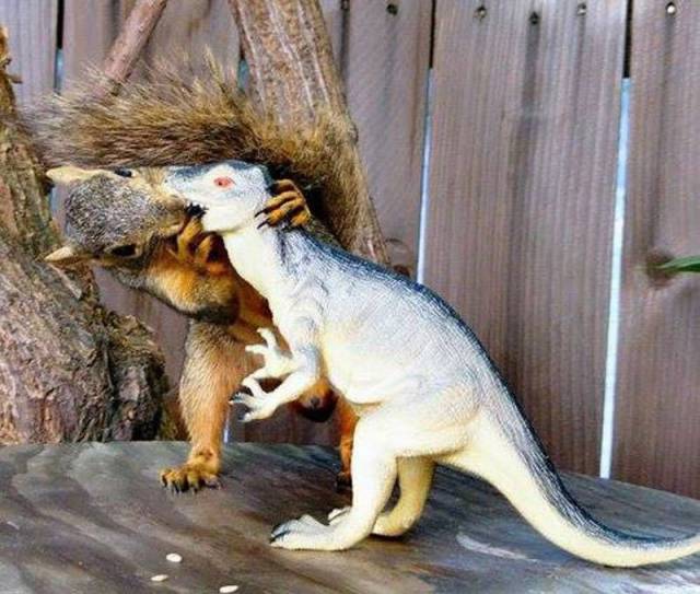 daily picdump 100 pics 4.html - 100 HD Photos | Premium Gallery 2016