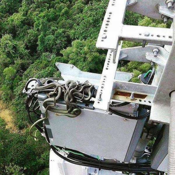 daily picdump 100 pics 4.html - 100 HD Photos | Premium Gallery 2016