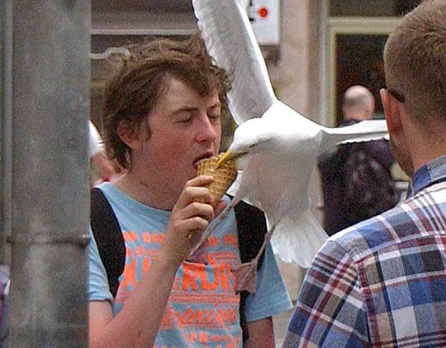 morning picdump 52 pics 18.html - 52 HD Photos | Premium Gallery 2016