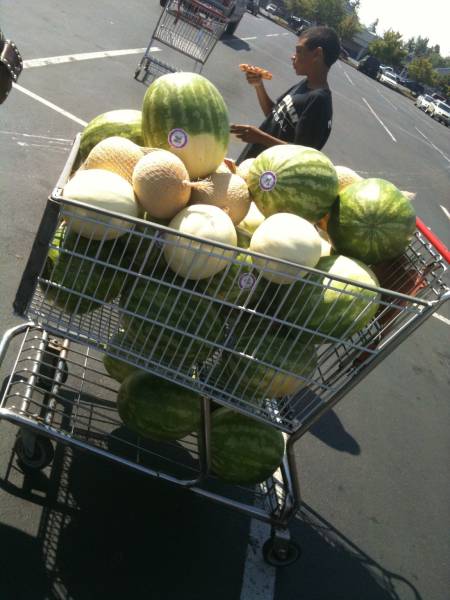 morning picdump 52 pics 18.html - 52 HD Photos | Premium Gallery 2016