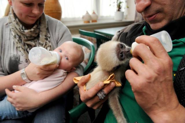 daily picdump 99 pics 7.html - 99 HD Photos | Premium Gallery 2016