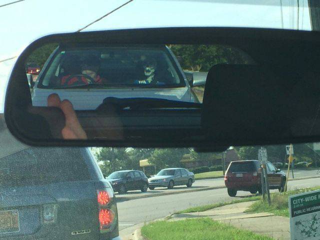 Daily Picdump