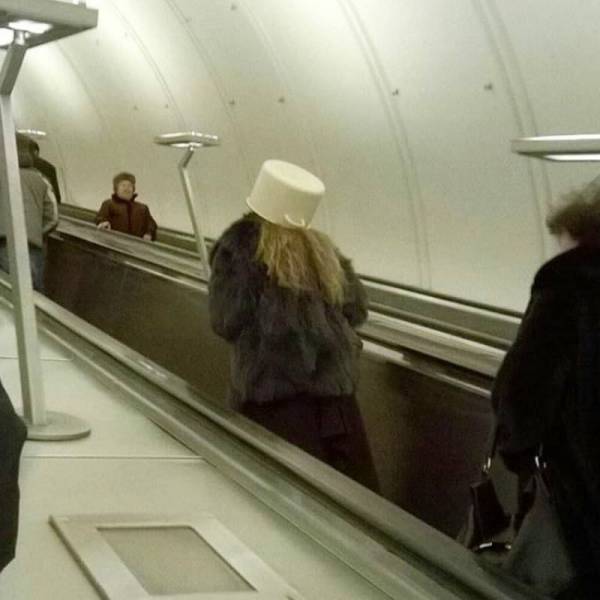 Daily Picdump