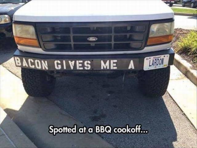 Daily Picdump