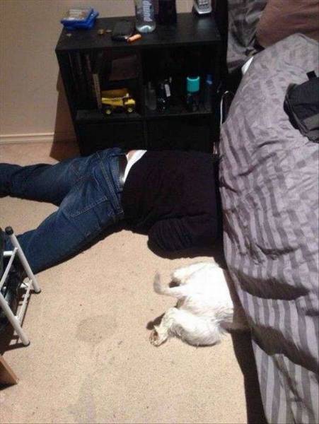 Daily Picdump