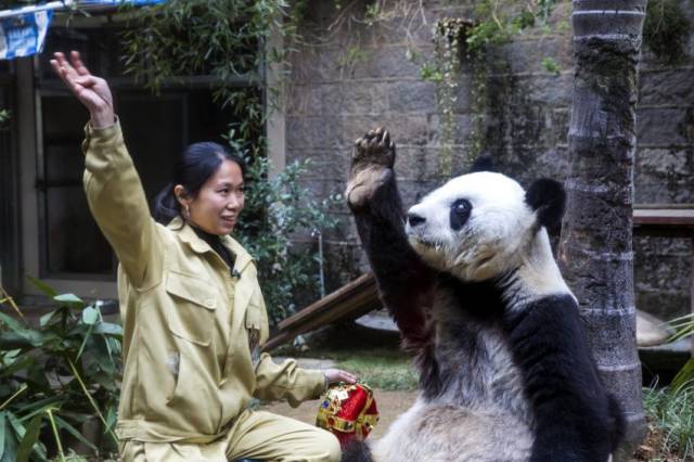 Daily Picdump