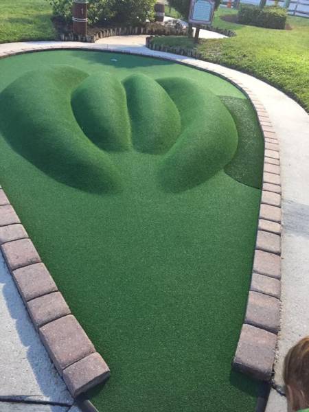 Daily Picdump
