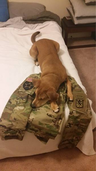 daily picdump 99 pics 7.html - 99 HD Photos | Premium Gallery 2016