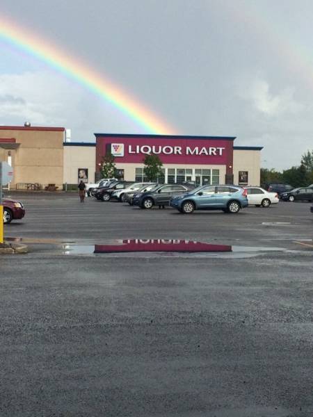 daily picdump 99 pics 7.html - 99 HD Photos | Premium Gallery 2016