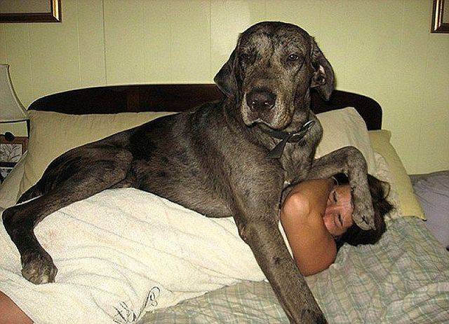 daily picdump 99 pics 7.html - 99 HD Photos | Premium Gallery 2016