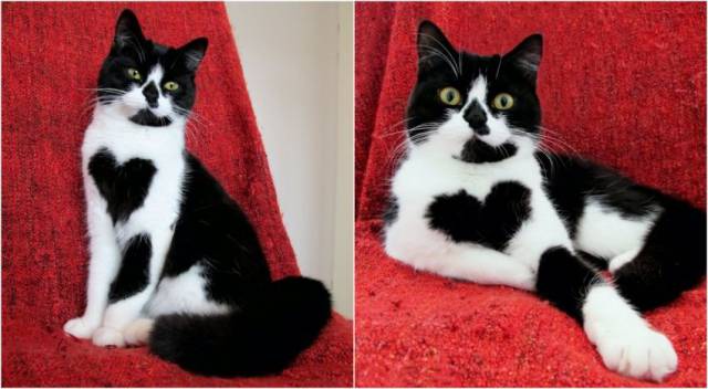 daily picdump 99 pics 7.html - 99 HD Photos | Premium Gallery 2016