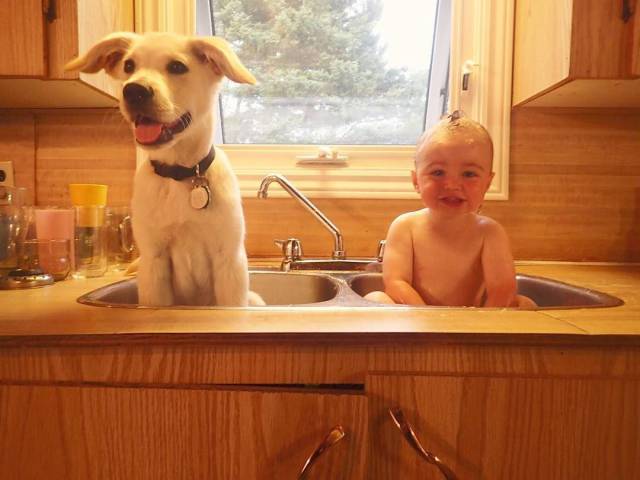 daily picdump 99 pics 7.html - 99 HD Photos | Premium Gallery 2016
