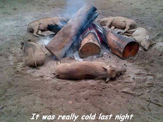 daily picdump 99 pics 7.html - 99 HD Photos | Premium Gallery 2016