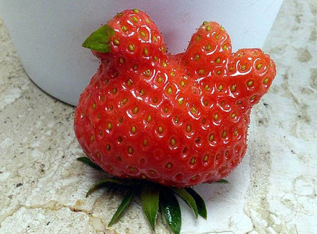 morning picdump 50 pics 18.html - 50 HD Photos | Premium Gallery 2016