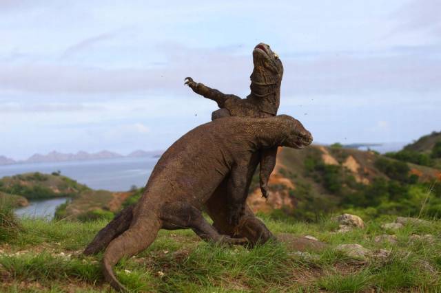 daily picdump 93 pics 35.html - 93 HD Photos | Premium Gallery 2016