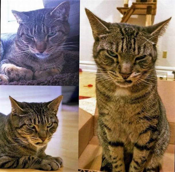 daily picdump 93 pics 35.html - 93 HD Photos | Premium Gallery 2016