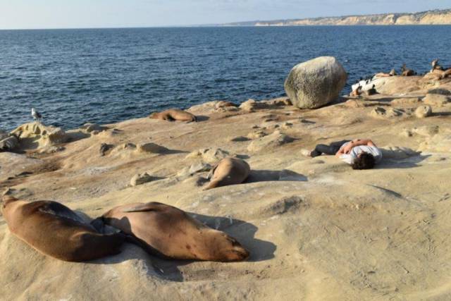 daily picdump 93 pics 35.html - 93 HD Photos | Premium Gallery 2016