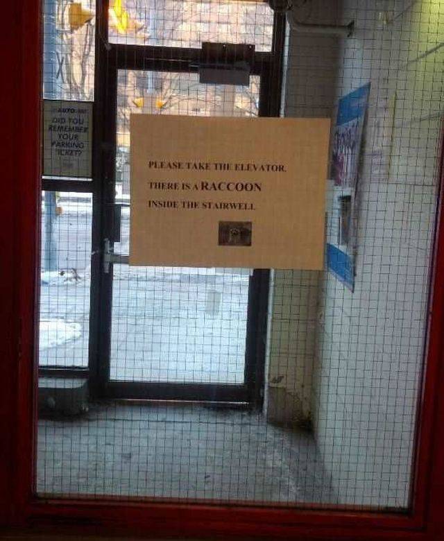 daily picdump 93 pics 35.html - 93 HD Photos | Premium Gallery 2016