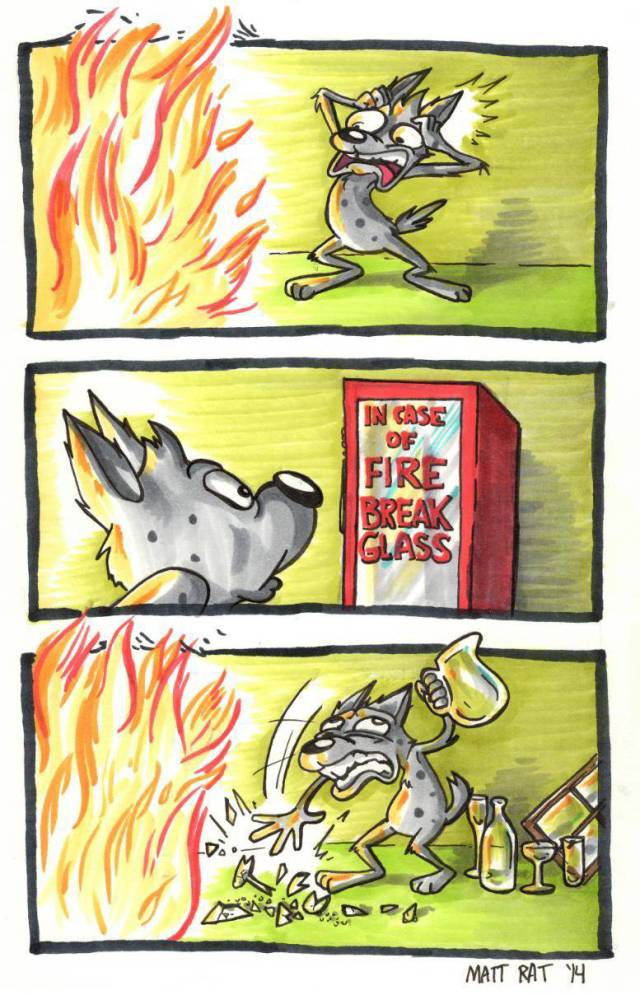 daily picdump 93 pics 35.html - 93 HD Photos | Premium Gallery 2016