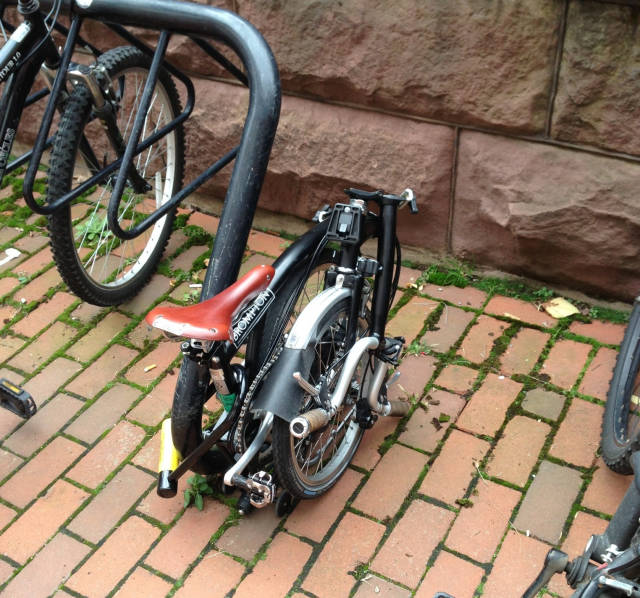 morning picdump 50 pics 7.html - 50 HD Photos | Premium Gallery 2016