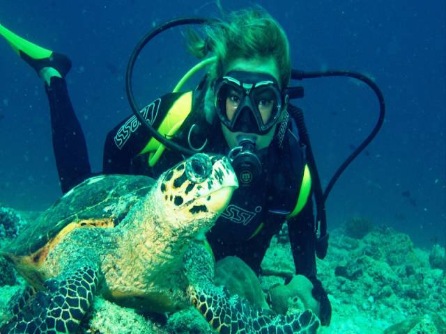 morning picdump 50 pics 22.html - 50 HD Photos | Premium Gallery 2016