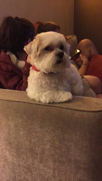 morning picdump 50 pics 22.html - 50 HD Photos | Premium Gallery 2016