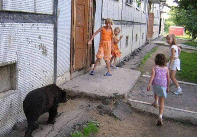 Russia: The Motherland Of The Weird And The ‘WTF’