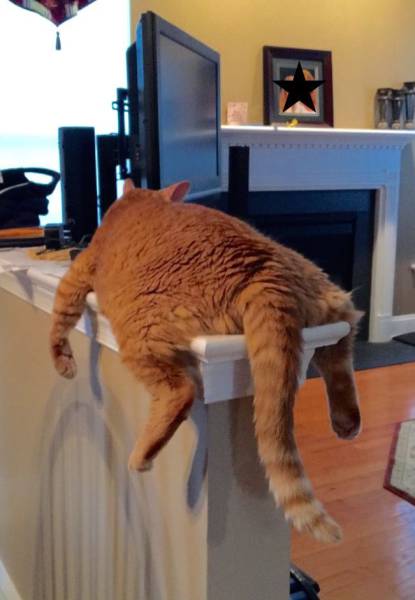 daily picdump weekend edition 65 pics 31.html - 65 HD Photos | Premium Gallery 2016