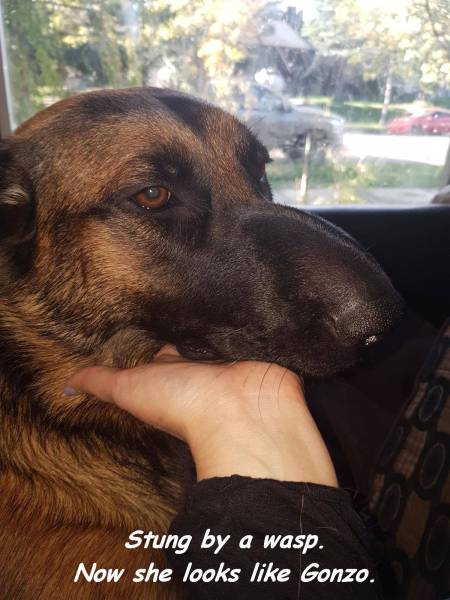 daily picdump weekend edition 65 pics 31.html - 65 HD Photos | Premium Gallery 2016