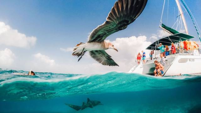 daily picdump weekend edition 65 pics 31.html - 65 HD Photos | Premium Gallery 2016