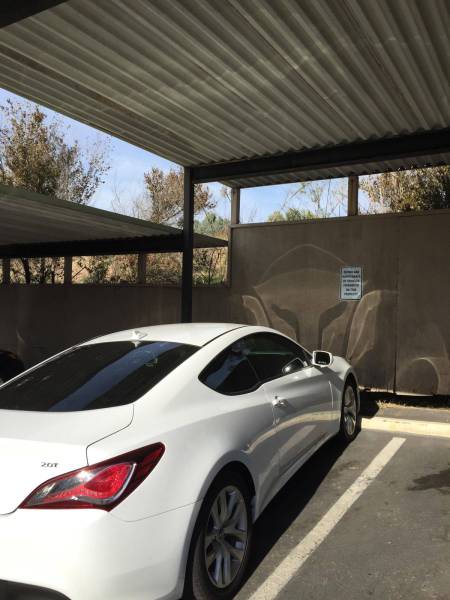 daily picdump weekend edition 65 pics 31.html - 65 HD Photos | Premium Gallery 2016