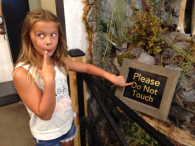 daily picdump weekend edition 65 pics 31.html - 65 HD Photos | Premium Gallery 2016