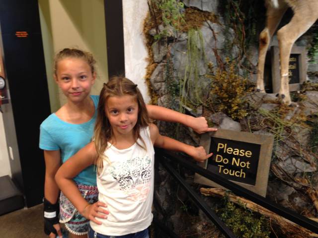 daily picdump weekend edition 65 pics 31.html - 65 HD Photos | Premium Gallery 2016