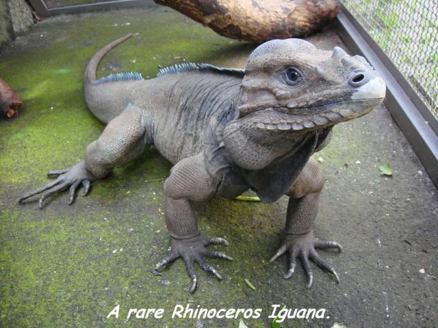 daily picdump 100 pics 39.html - 100 HD Photos | Premium Gallery 2016