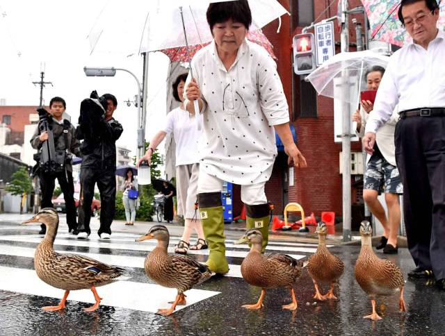 daily picdump 100 pics 39.html - 100 HD Photos | Premium Gallery 2016