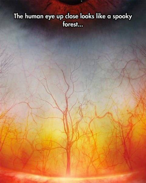 daily picdump 100 pics 39.html - 100 HD Photos | Premium Gallery 2016