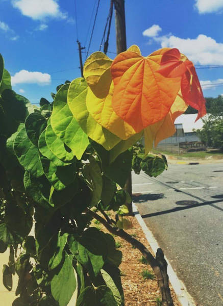 morning picdump 51 pics 17.html - 51 HD Photos | Premium Gallery 2016