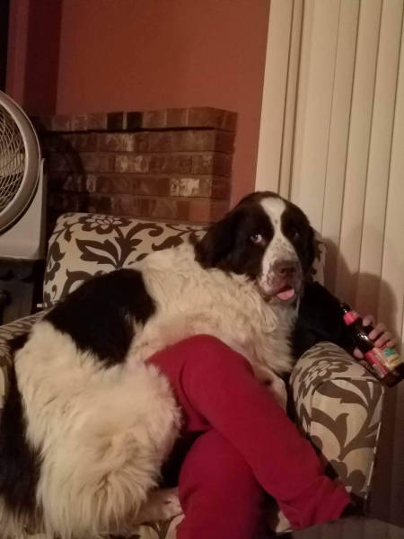 morning picdump 51 pics 17.html - 51 HD Photos | Premium Gallery 2016