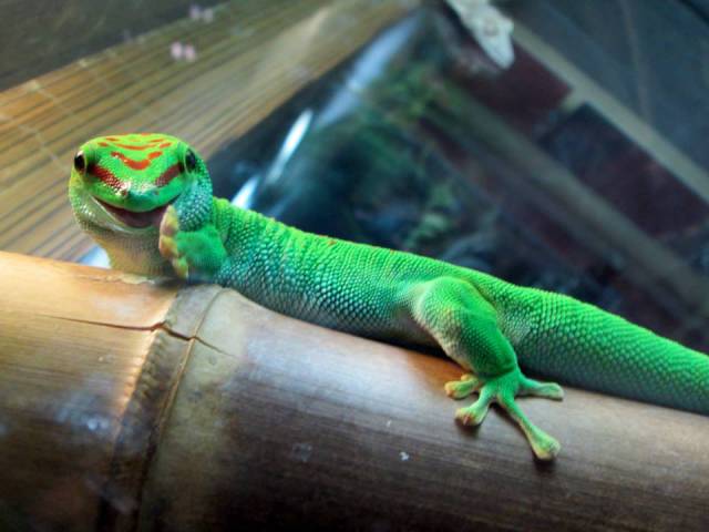 morning picdump 51 pics 17.html - 51 HD Photos | Premium Gallery 2016