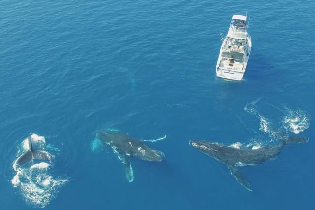 daily picdump 99 pics 31.html - 99 HD Photos | Premium Gallery 2016