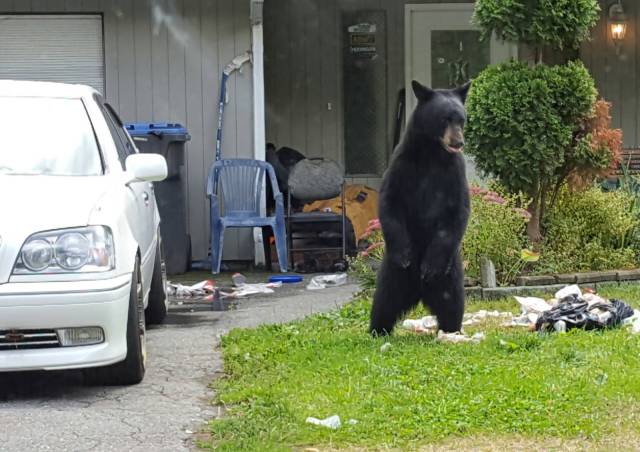 daily picdump 99 pics 31.html - 99 HD Photos | Premium Gallery 2016