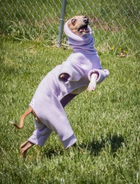 daily picdump 99 pics 31.html - 99 HD Photos | Premium Gallery 2016