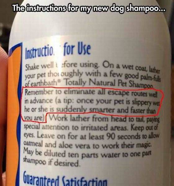 daily picdump 99 pics 31.html - 99 HD Photos | Premium Gallery 2016