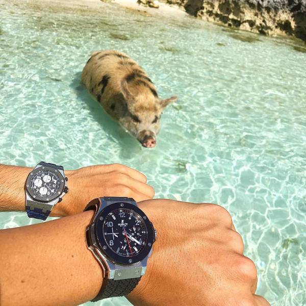 daily picdump 99 pics 31.html - 99 HD Photos | Premium Gallery 2016