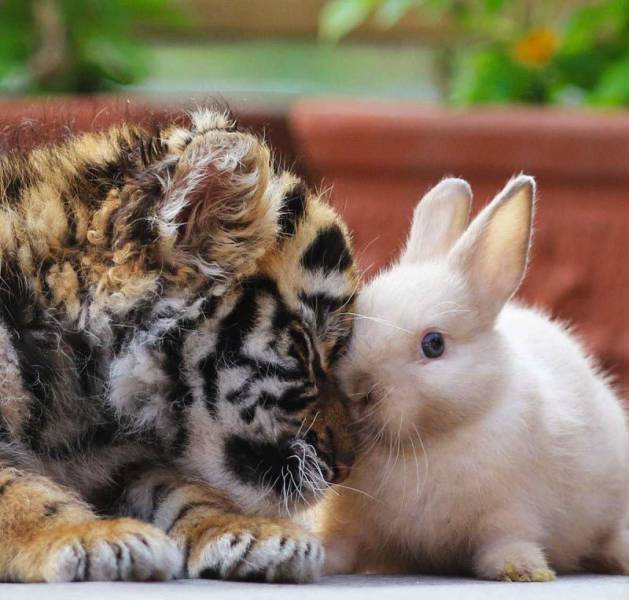 daily picdump 99 pics 31.html - 99 HD Photos | Premium Gallery 2016