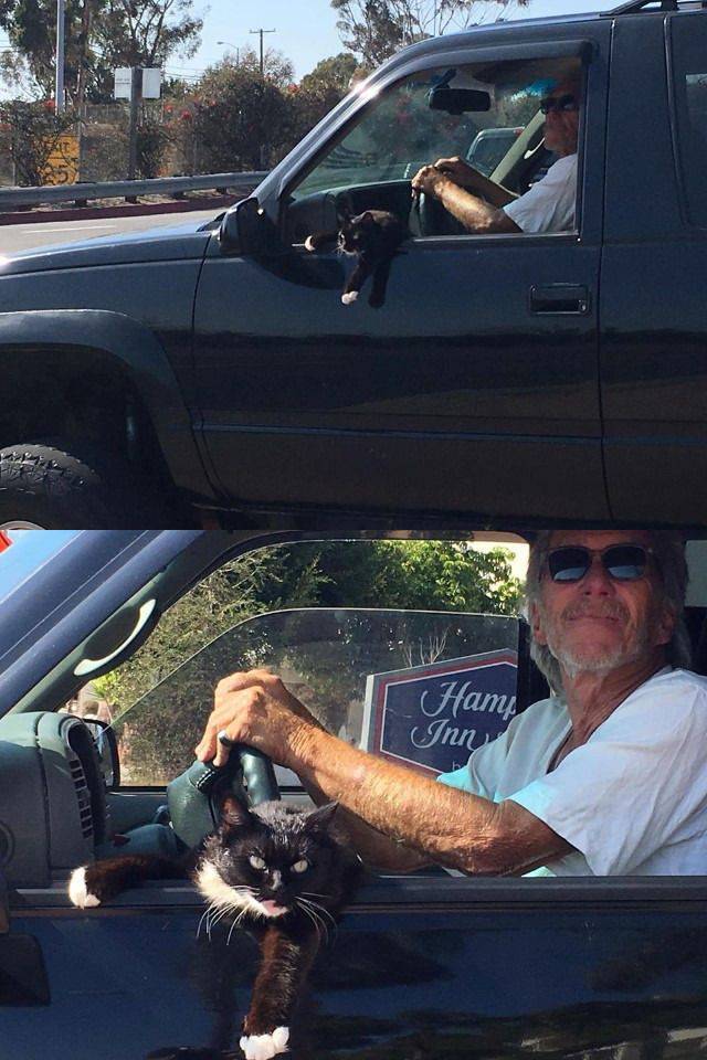 daily picdump 99 pics 31.html - 99 HD Photos | Premium Gallery 2016