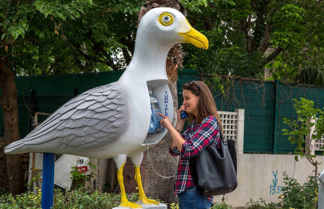 morning picdump 53 pics 9.html - 53 HD Photos | Premium Gallery 2016