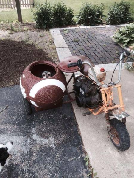 morning picdump 53 pics 9.html - 53 HD Photos | Premium Gallery 2016