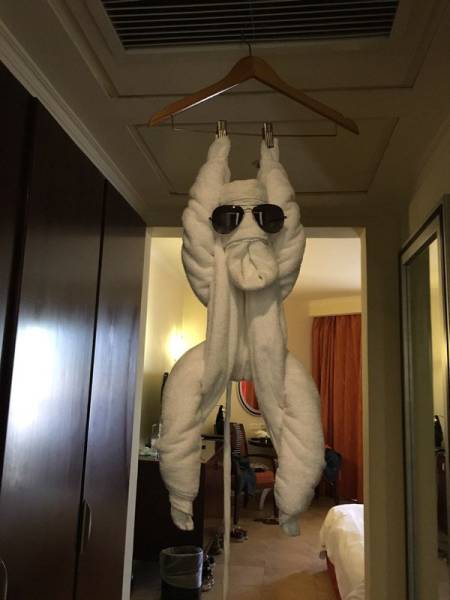 morning picdump 53 pics 9.html - 53 HD Photos | Premium Gallery 2016