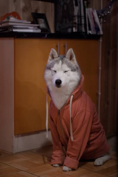 morning picdump 53 pics 9.html - 53 HD Photos | Premium Gallery 2016